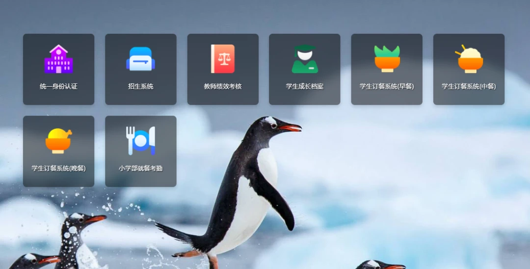 为什么体型在篮球训练中起着关键作用_1